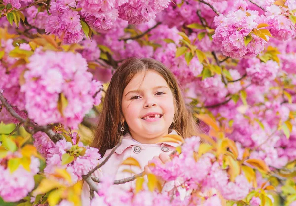 Pozbyć się alergii sezonowej. Dziewczyna ciesząc się kwiatowym aromatem. Koncepcja alergii pyłku. Dziecko na różowe kwiaty Sakura drzewo tło. Dziecko cieszyć się życiem bez alergii. Wąchania kwiatów. Lekarstwo na alergie — Zdjęcie stockowe