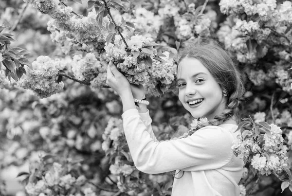 Brillante y vibrante. El rosa es mi favorito. La niña disfruta de la primavera. Niño sobre flores rosadas de sakura fondo del árbol. Chico disfrutando de flor de cerezo rosa. Flor tierna. El rosa es el color más femenino —  Fotos de Stock