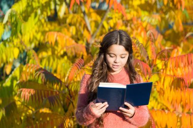 Çalışmaya devam. Küçük kız sonbahar günü kitap okur. Küçük çocuk sonbahar yapraklarını okumayı sever. Küçük çocuk sonbahar parkında öğrenmenin tadını çıkarıyor. Çocuk kitapla çalışıyor. Sonbahar edebiyat konsepti