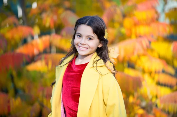 Gülümseyen sevimli okul kızı sonbahar yeşillik geçmişi. Sonbahar parkında küçük bir çocuk yürüyor. Sonbahar tatili. Sonbahar atmosferi. Keyfin yerinde. Mutlu çocuk. Her mevsimin tadını çıkarıyorum. Doğayla bütünleşti — Stok fotoğraf