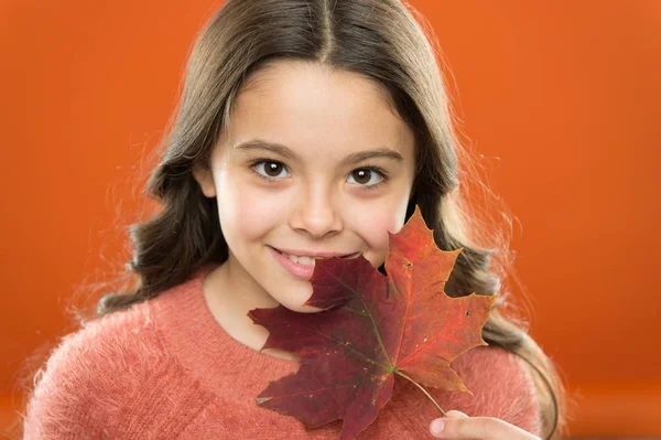 Arcápolás. Egy kislány, aki őszi levelekkel mosolyog. Kis gyermek tartja juharfalevél változó színű. Ünnepeljük az őszt. Természetes szépség és bőr. Boldog őszi szezont. Milyen csodálatos az ősz. — Stock Fotó
