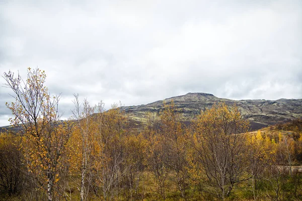 Vysoké hory. Podzim na Islandu. Krajina s travnatým polem na Islandu. Podzimní zamračený den. Změna klimatu. Příroda a ekologie. Podzimní prohlídka islandské přírody. Cestovní ruch a cestování — Stock fotografie