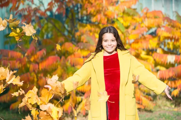 Autumn warm. Leaf fall. Stylish girl in autumn coat walking in autumn park. Fallen leaves. Autumn nature. Happy small kid outdoors play with leaves. Girl walking in park sunny day. Enjoy moment — Stock Photo, Image