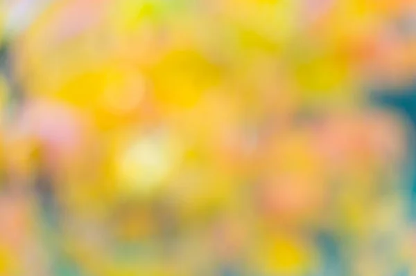 Φυσικά χρώματα. Φόντο φθινοπωρινών. Νεφελώδη φθινοπωρινά κίτρινα και πορτοκαλί φύλλα. Όμορφο φθινοπωρινό φόντο. Αποεστιασμένη θολή φόντο φύλλα φθινόπωρο. Φθινοπωρινή διαφήμιση. Ομορφιά της φύσης — Φωτογραφία Αρχείου