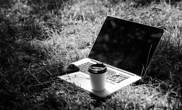working place outdoor. Free music. summer vibes. Relax. university students life. Online shopping. agile business. Online study. laptop with headset of mobile phone and coffee to go on green grass