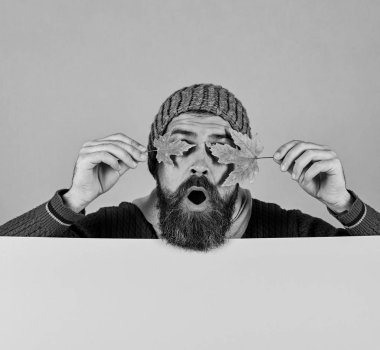 Yeşil akçaağaç yaprakları yeşil ve cyan arka planda