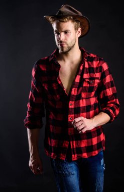 altın acele. vahşi batı rodeo. Şapkalı yakışıklı bir adam. batı kovboy portresi. kırsal tarafta kovboy. Western. çiftlikte adam damalı gömlek. Vintage tarzı adam. Vahşi Batı retro kovboy