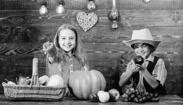 Bambini agricoltori ragazza ragazzo verdure raccolto. Fattoria di famiglia. Bambini che presentano fattoria raccolta sfondo in legno. I fratelli si divertono. Mercato agricolo. L'agricoltura insegna ai bambini da dove viene il cibo. — Foto Stock