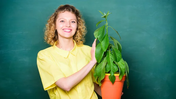 Florist concept. Botany and biology lesson. Botanical expert. Botany education. Botany is about plants flowers and herbs. Woman chalkboard background carry plant in pot. Take good care plants