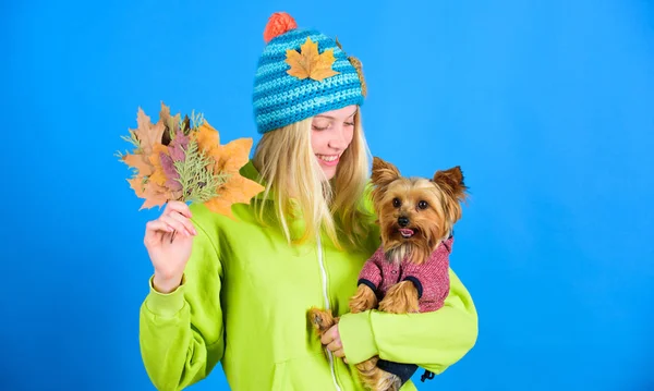Girl hug cute dog and hold fallen leaves. Woman carry yorkshire terrier. Take care pet autumn. Veterinary medicine concept. Health care for dog pet. regular flea treatment. Pet health tips for autumn