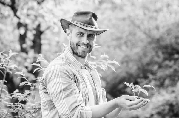 Gelukkige dag van de aarde. Eco living. landbouw en landbouwteelt. Tuinieren. gespierde Ranch man in cowboy hoed zorg planten. succesvolle boer houden plant in de grond in handen. Eco Farm Worker. Dag van de aarde — Stockfoto