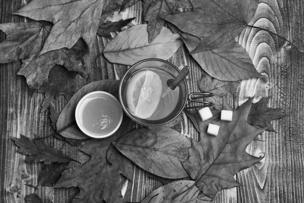 Teetasse mit Honig machen Herbst Zusammensetzung — Stockfoto