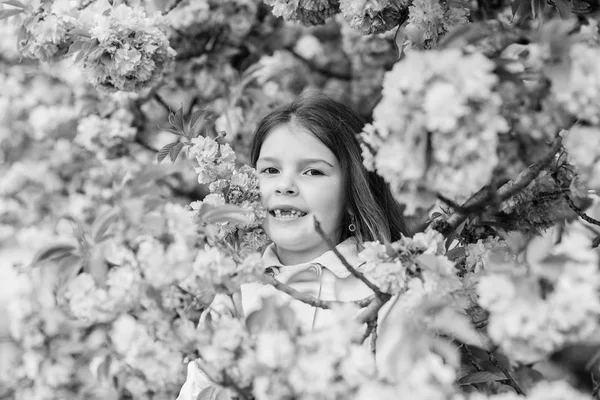 Kid on rózsaszín virágok Sakura fa háttérben. Gyermek élvezni az életet allergia nélkül. Szippantás virágok. Allergia orvoslása. Pollenallergia koncepció. Megszabadulni a szezonális allergia. Lány élvezi virágos aroma — Stock Fotó