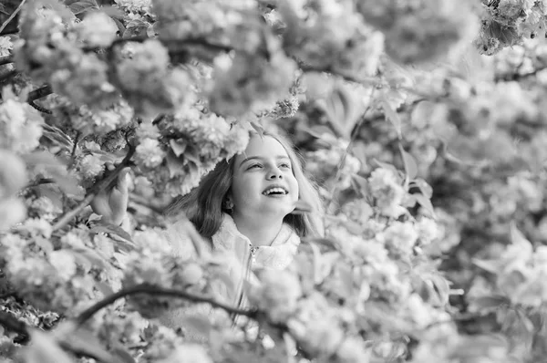 Perdido em flor. Conceito de botânica. Menina apreciando sakura flor de cerejeira. Criança bonito desfrutar de dia quente de primavera. Flor suave. Menina turista posando perto sakura. Criança em flores rosa de fundo de árvore sakura — Fotografia de Stock