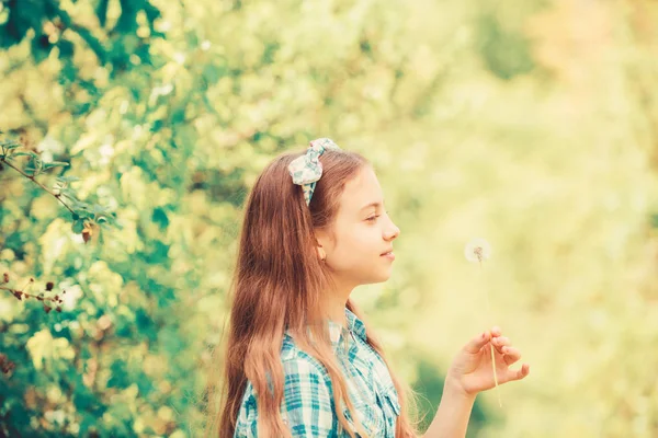 Celebrating summer. Dandelion full symbolism. Folklore beliefs about dandelion. Having fun. Girl rustic style making wish and blowing dandelion nature background. Why people wish on dandelions