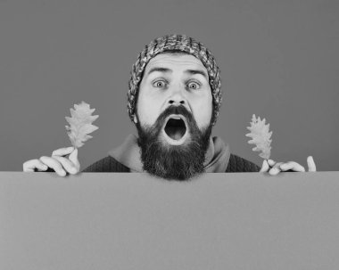 Sonbahar ve doğal güzellik kavramı. Sakallı adam