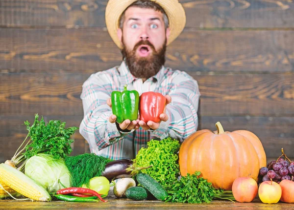 Sombrero de paja de granjero con cosecha fresca. Concepto de cosecha propia. El típico granjero. Festival de cosecha del mercado agrícola. Hombre agricultor barbudo madura mantenga verduras fondo de madera. Vender verduras —  Fotos de Stock