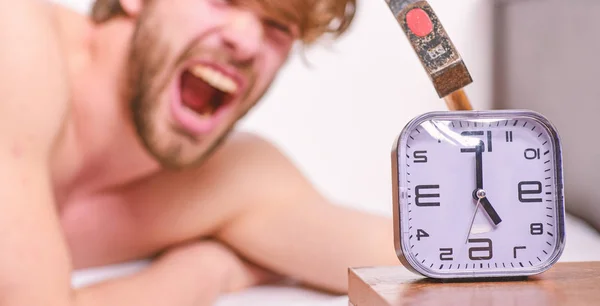 Annoying ringing alarm clock. Man bearded annoyed sleepy face lay pillow near alarm clock. Guy knocking with hammer alarm clock ringing. Break discipline regime. Stop ringing. Annoying sound