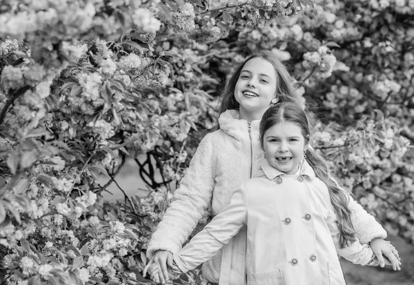 Bambini su fiori rosa di sfondo albero di sakura. Concetto botanico. Ai bambini piace il sakura ai fiori di ciliegio. Fiori morbide nuvole rosa. I bambini godono della calda primavera. Ragazze che posano vicino a Sakura. Perso in fiore — Foto Stock