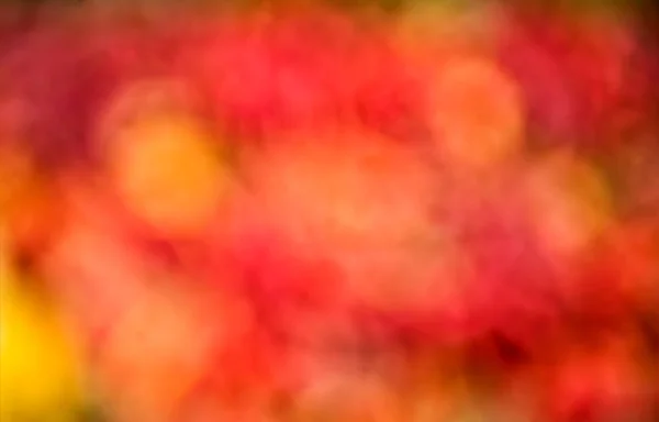 Hello autumn. Abstract composition. Blurred red colors abstract background. Abstract nature art design. Abstract blur macro closeup. Autumn leaves on sunny day. Bokeh effect. Blurry image — Stock Photo, Image