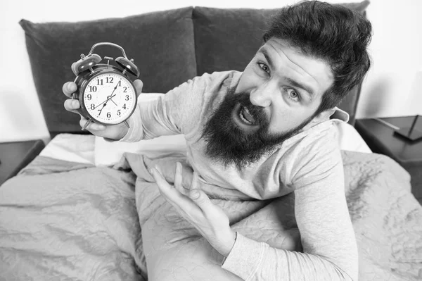 Conseils pour se réveiller tôt. Homme barbu hipster visage endormi se réveiller. Horaire quotidien pour un mode de vie sain. Réveil sonnant. Je déteste ce bruit. Problème avec le réveil tôt le matin. Debout tôt — Photo