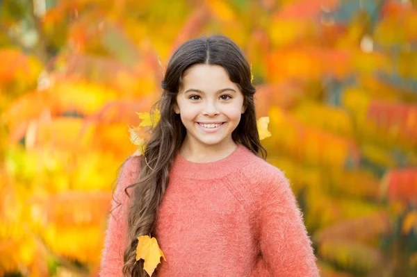 秋は幸福と喜びをもたらします。幸せな少女は秋の葉を髪に身に着けている。小さな子供の秋の風景に笑みを浮かべて幸せ。幸せな秋。幸せな休日 — ストック写真