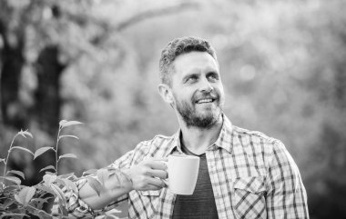 Yeşil çay sağlığını geliştirmek biyoaktif bileşikler içerir. Bütün yaprak çayı. Doğal içecek. Sağlıklı yaşam tarzı. Yeşil çayı tercih ederim. Ferahlatıcı bir içki. Adam sakallı çay çiftçi kupa doğa arka plan tutun