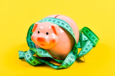 Kumbara ve mezura. Bütçe limiti kavramı. Kredi borçları. Finansal danışmanlık. Ekonomi ve finans. Domuz kapanı. Bütçe krizi. Planlama bütçesi. İşle ilgili. Kısıtlı ya da kısıtlı