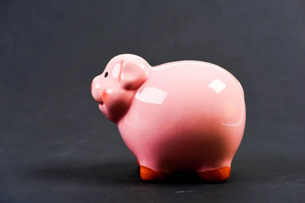Piggy bank symbol of money savings. More ideas for your money. Accounting and family budget. Finances and investments bank. Bank deposit. Financial education. Piggy bank adorable pink pig close up — Stock Photo, Image