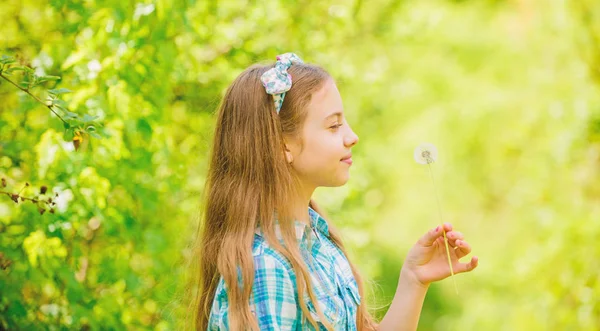 幸せな子供はブローボールを保持します。小さな女の子とタラクサカムの花。自然の美しさ。子供の頃の幸せタンポポ。春休み。女性の日。夏休み。ランチョと国。小さな女の子の概念 — ストック写真