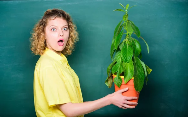 garden experience. environmental education. teacher woman in glasses at biology lesson. surprised student girl with plant at board. tree of knowledge. school learning ecology. school nature study