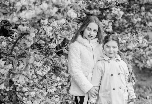 Perso in fiore. Ragazze che posano vicino a Sakura. Bambini su fiori rosa di sfondo albero di sakura. Concetto botanico. Ai bambini piace il sakura ai fiori di ciliegio. Fiori morbide nuvole rosa. I bambini godono di primavera calda — Foto Stock