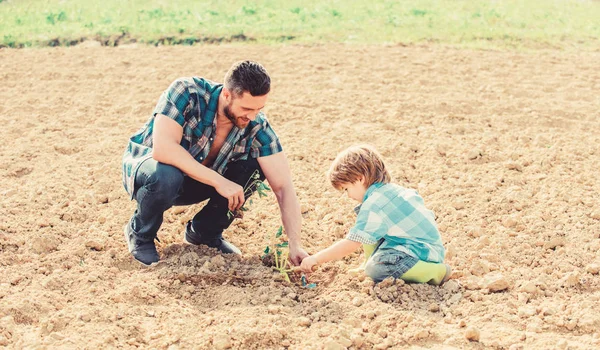 new life. soils fertilizers. rich natural soil. Eco farm. father and son planting flowers in ground. earth day. small boy child help father in farming. happy earth day. Family tree. Water on leaves