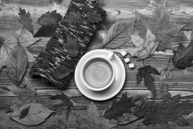 Yeşil çay bir fincan dilim limon ile yaprakları