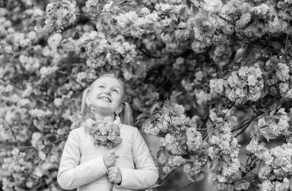 Děvče baví květinové aroma. Koncepce alergie na pyl. Dítě na růžových květinách Sakura Tree. Lék proti alergii. Děti mají život bez alergie. Čichá květiny. Zbavte se sezónního alergie — Stock fotografie