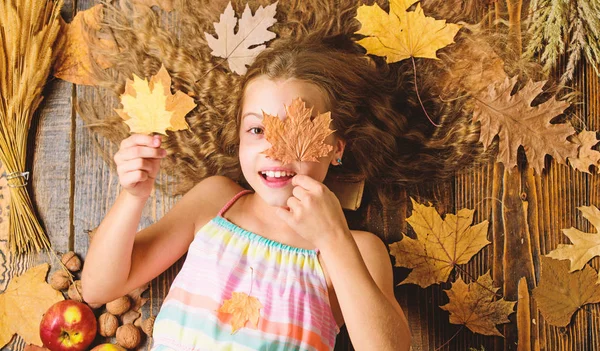 Játék őszi szezon szabadidős attribútumok. Gyerek aranyos lány játszani a levelek fa háttér felülnézet. Gyermek hosszú haj játszani a száraz leveleket. Őszi coziness az csak kb. Gyermek játékos hangulatban hold levelek — Stock Fotó