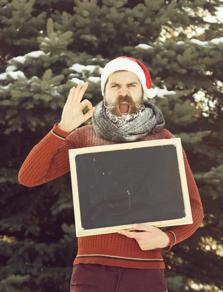 Schreeuwende man in kerstman hoed, hipster met baard en snor bedekt met witte vorst, met blanco zwart bord of schoolbord geeft ok gebaar op winterdag op natuurlijke achtergrond, kopie spa — Stockfoto