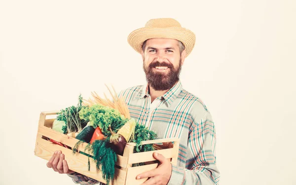 Compre alimentos locales. Granjero rústico barbudo hombre sostiene caja de madera con verduras de cosecha propia fondo blanco. El granjero lleva la cosecha. Alimentos cultivados localmente. Granjero estilo de vida ocupación profesional —  Fotos de Stock