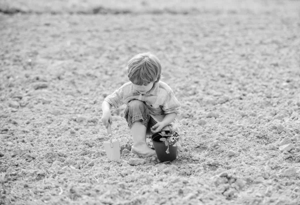 Маленький хлопчик посадив квітку на полі. Веселий час на фермі. Щаслива концепція дитинства. Маленький помічник у саду. Дитина розважається з маленькою лопатою і рослиною в горщику. Посадка в полі. Посадка розсади — стокове фото