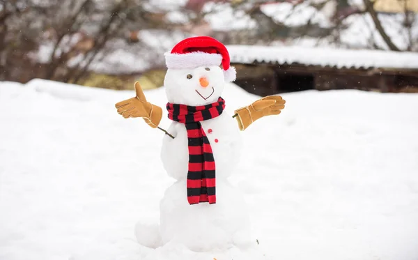 Lindo hombre de nieve al aire libre. Muñeco de nieve con sombrero bufanda y guantes de nieve fondo de la naturaleza. Actividad invernal. Vacaciones de invierno. Muñeco de nieve adorable divertido lindo mueca. Feliz infancia. Primera nieve. Pronóstico tiempo — Foto de Stock