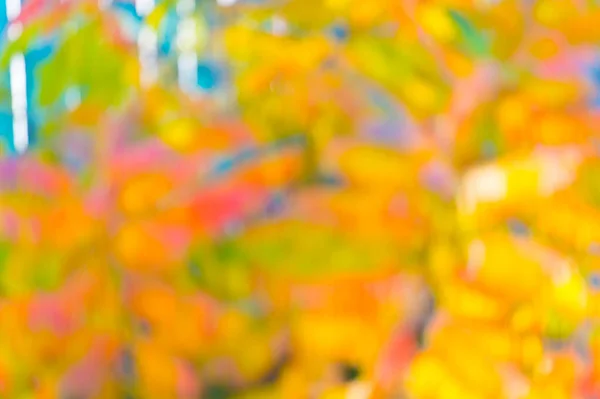 Az ősz gyönyörű. Őszi színek elvont háttér. Őszi lombozat élénk színei. Fényes és mély színek. Absztrakt dizájn. Homályos kép. Bokeh-hatás — Stock Fotó