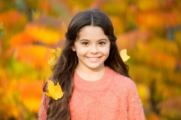 Doğaya yakın. Mutlu küçük çocuk sonbahar doğasında yürüyor. Saçları sarı yapraklarla gülümseyen küçük bir kız. Sonbaharda doğa. Sonbaharda doğa hakkında araştırma ve öğrenme — Stok fotoğraf