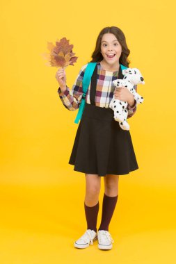 Akademik yılın başlangıcında. Çalışmak için sonbahar zamanı. Okul eğitimi konsepti. Çalışmaya devam et. Oyuncak sırt çantalı küçük bir kız çocuğu ve gidiyor. Mutlu bir çocukluk. İlkokulda okuyorum.