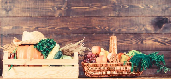 Nur aus dem Garten. Lieferservice frisches Gemüse vom Bauernhof. Kaufen Sie frisches Gemüse aus eigenem Anbau. Hervorragende Qualität Gemüse. Box oder Korb Ernte Gemüse hölzernen Hintergrund. Lebensmittelgeschäft-Konzept — Stockfoto