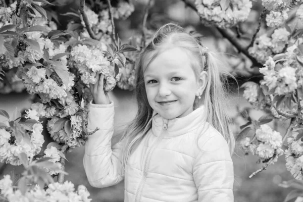 Saisonale Allergien loswerden. Mädchen genießen blumiges Aroma. Pollenallergiekonzept. Kind auf rosa Blumen Sakura Baum Hintergrund. Allergiemittel. Kinder genießen das Leben ohne Allergie. Blumen schnüffeln — Stockfoto