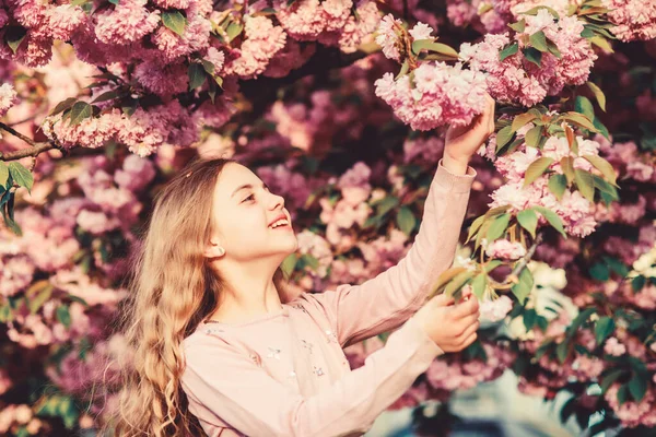 Дівчина вишневий квітковий фон. Щасливий весняний відпочинок. Парк і сад. Дівчинка маленька весняна квітка розквітає. Насолоджуйтесь запахом ніжного цвітіння сонячного дня. Концепція квітки Сакура. Чудова краса квітів — стокове фото