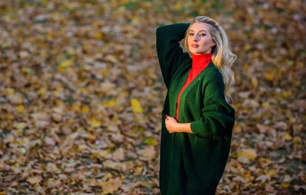 Cold blonde color concept. How repair bleached hair fast and safely. Autumn hair care important so as to avoid dry frizzy hair. Girl fashionable blonde walk in autumn park. Long hair care concept