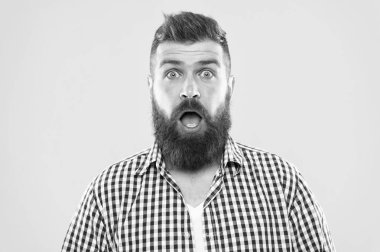 Her seferinde merak ediyorum. Sakallı hippi adam sarı arka planı yakından merak ediyor. Adam şaşırmış yüz ifadesi. Hipster duygusal şaşkınlık ifadesi. Rustik maço şaşırdı. Şaşırtıcı bir haber.