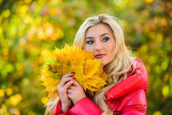 Концепция любимого сезона. Осень её любимое время года. Женщина гуляет в осеннем парке. Девушка грима мечтательный лицо держать кучу кленовых листьев. Леди позирует с листьями осенью — стоковое фото