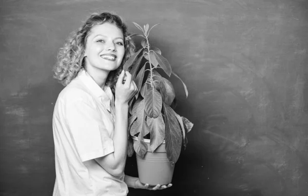 Toma plantas de buen cuidado. Niña mantenga la planta en maceta. Plantas que seguro que alivian el estrés en casa y le proporcionan un santuario de paz y tranquilidad. Concepto florista. Botánica se trata de plantas flores y hierbas —  Fotos de Stock